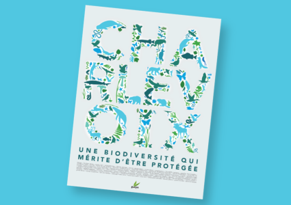 Affiche (format PDF) : « Charlevoix : une biodiversité qui mérite d'être protégée » 18x24po